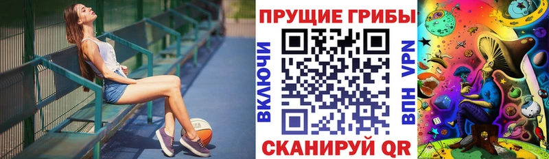 Галлюциногенные грибы Psilocybine cubensis Хадыженск